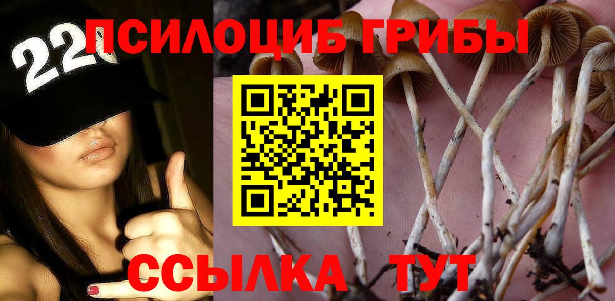 Псилоцибиновые грибы мицелий Фрязино