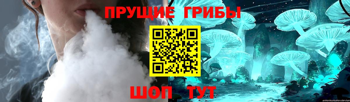 Псилоцибиновые грибы ЛСД  Вход с VPN  Фрязино 